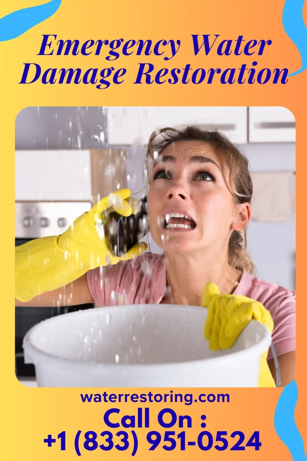 Emergency Water Damage Restoration in Riverside, MD