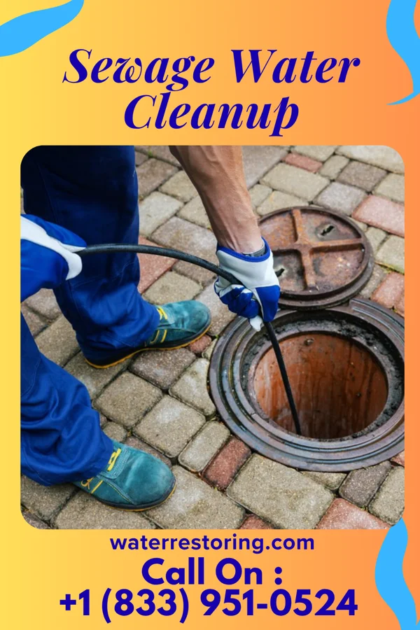 Sewage Water Cleanup in Riverside, MD